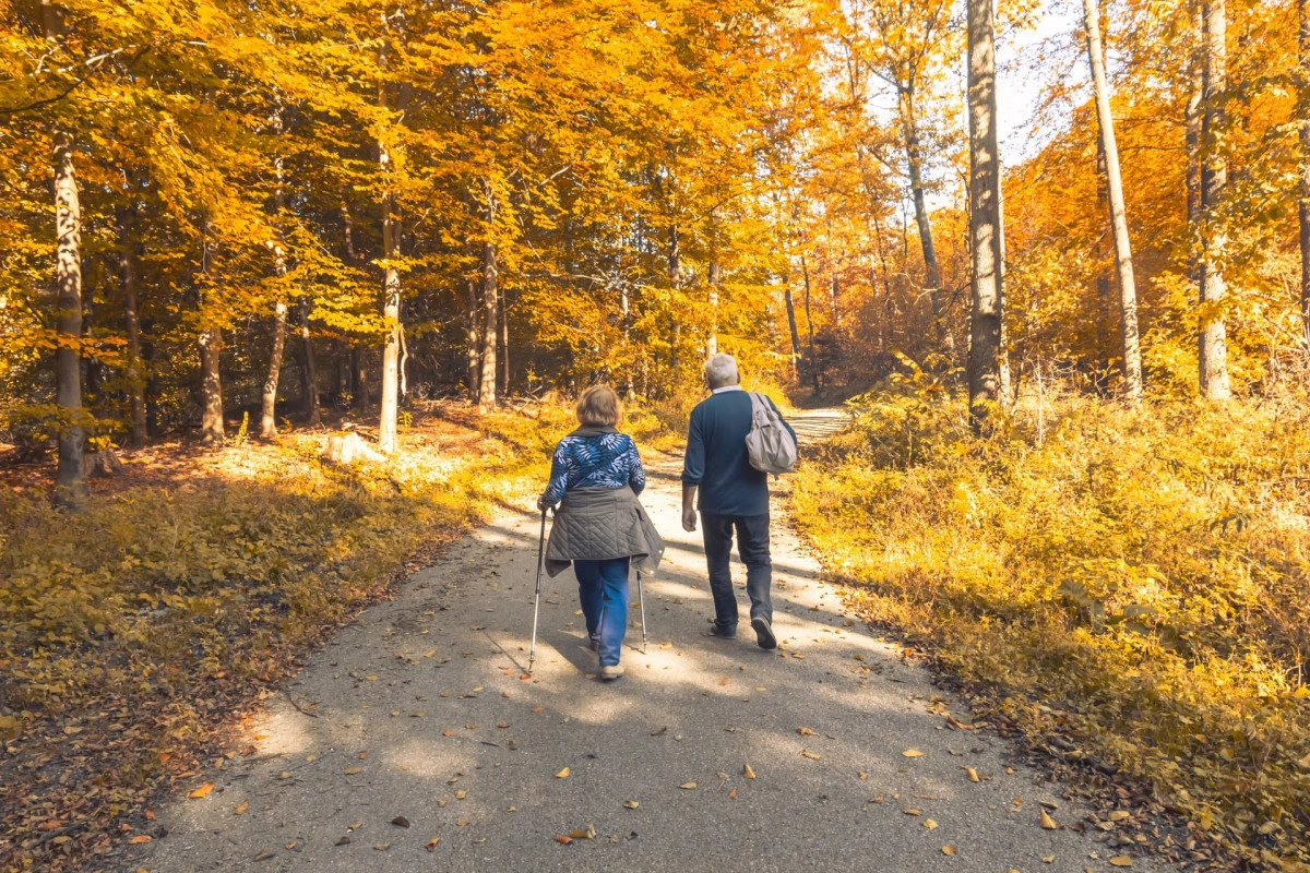 Elderly couple walking away from camera in a wooded area