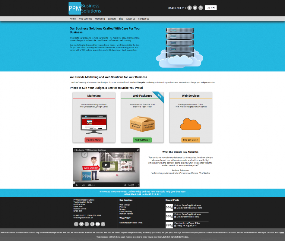 The first PPM Business Solutions Website