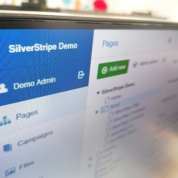 Why Should You Consider Silverstripe For Your Next Website?
